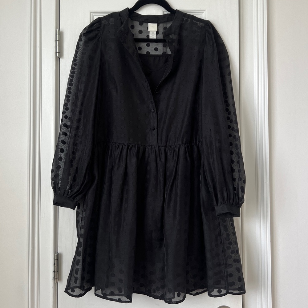 Black Sheer H&M Polka Dot Dress